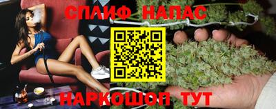 apvp Краснодар
