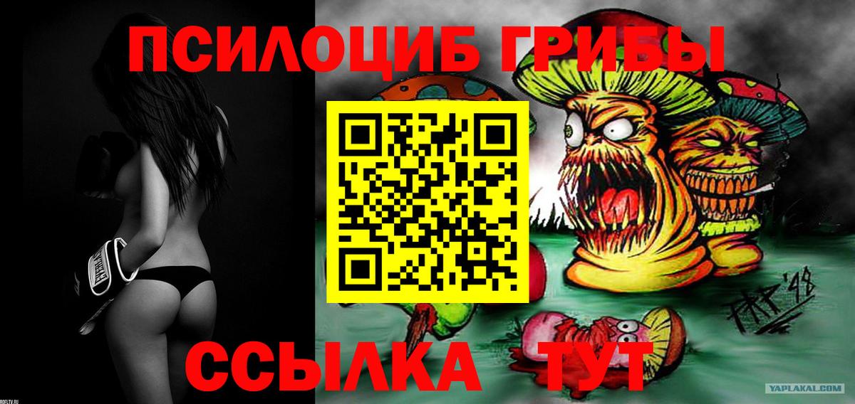 Псилоцибиновые грибы мицелий  Вход с VPN  Ковров 