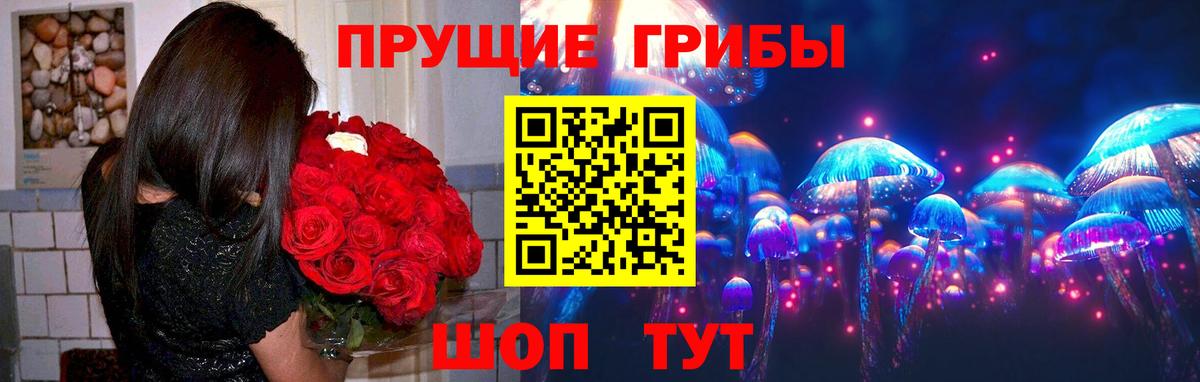 Псилоцибиновые грибы Psilocybe Ковров